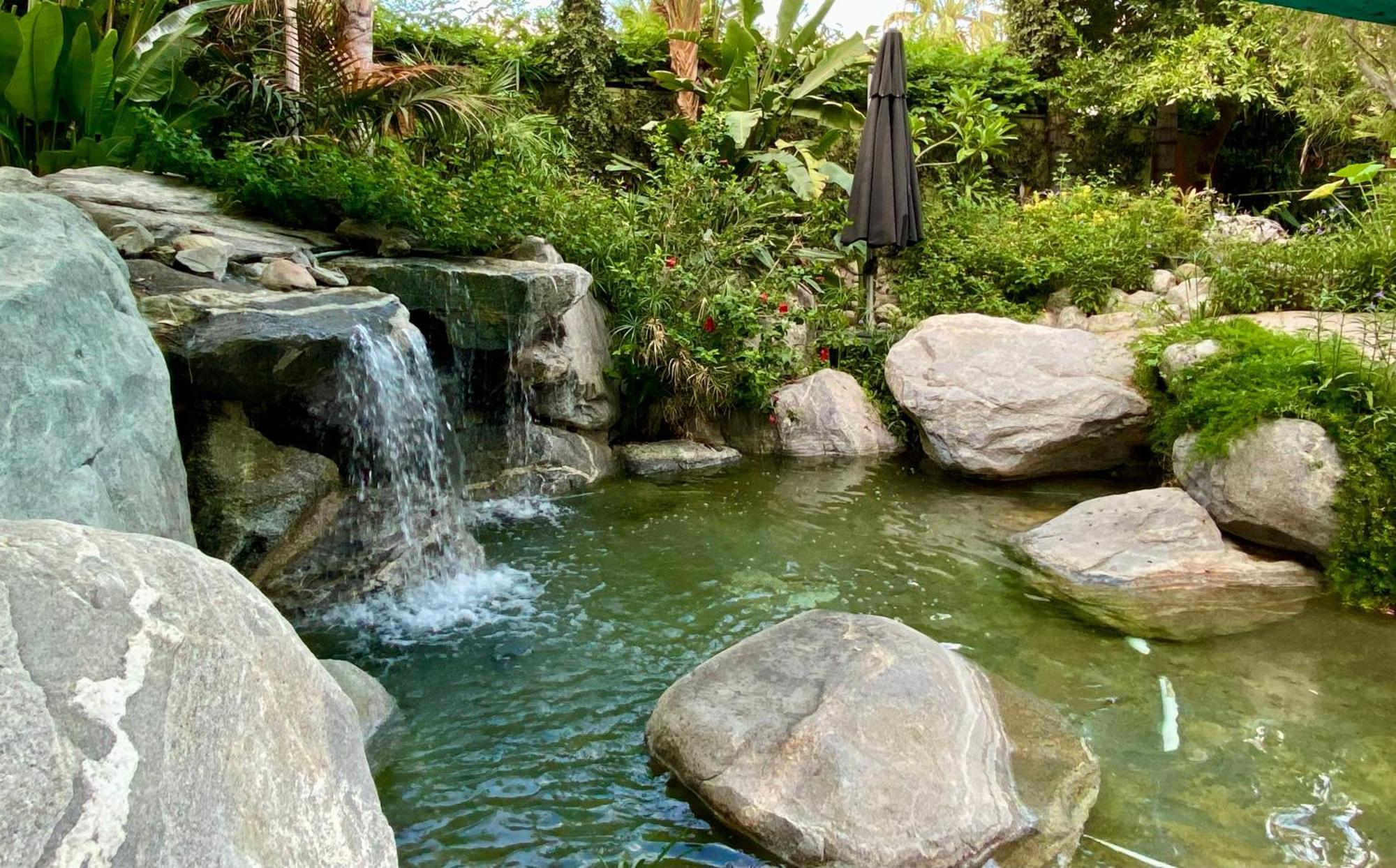 Vista Grande Resort - A Gay Men'S Resort Palm Springs Exterior photo