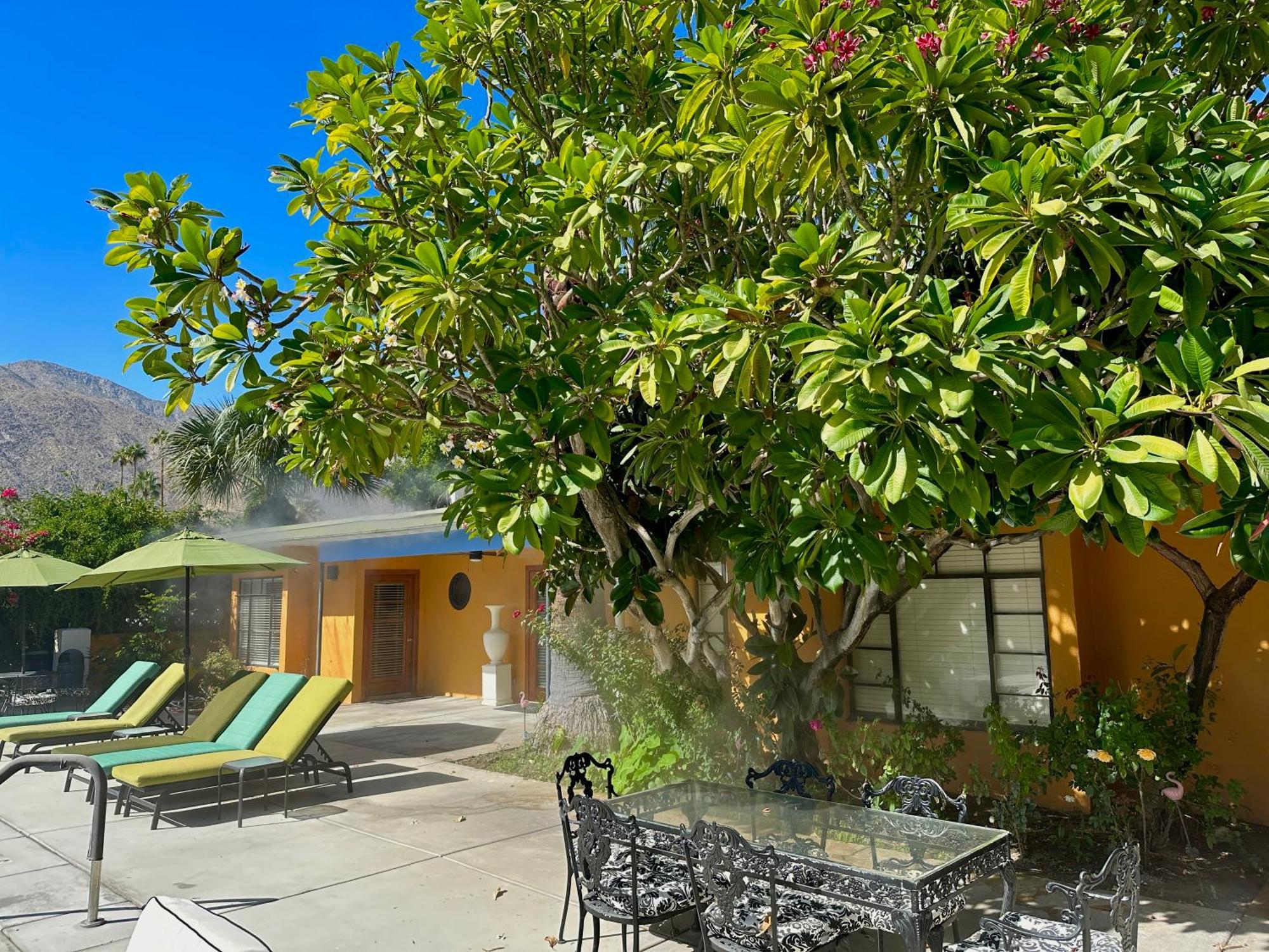 Vista Grande Resort - A Gay Men'S Resort Palm Springs Exterior photo